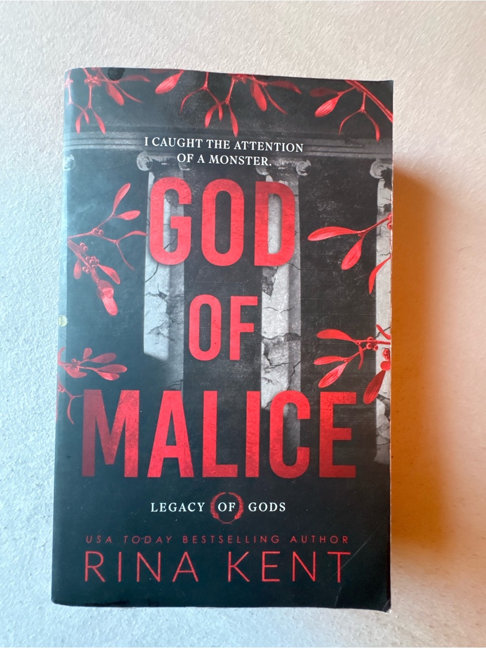 Rina Kent - God of Pain & God of Malice - Picture 4 of 7